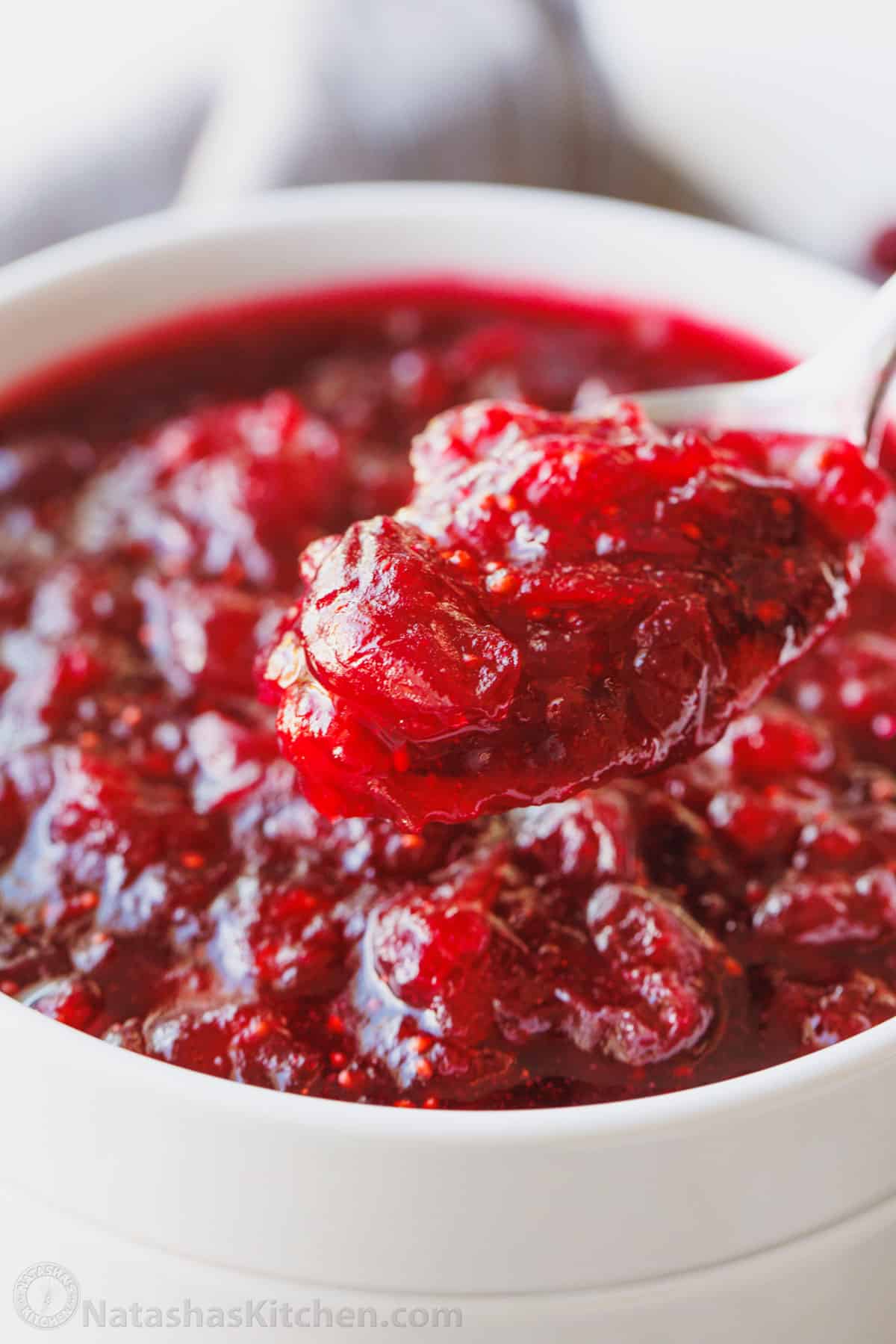 A spoonful of cranberry sauce with a bowl of sauce in the background.