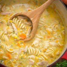 Creamy chicken noodle soup in red pot