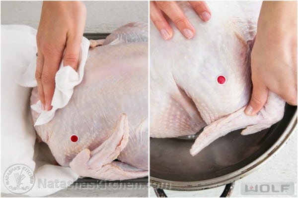 Patting dry turkey and tucking wings behind turkey