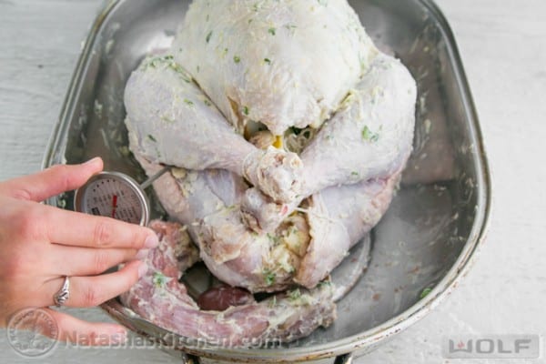 Where to insert temperature probe into turkey under the thigh