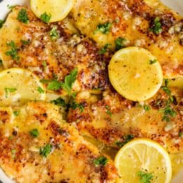 Lemon chicken in lemon butter sauce in skillet garnished with lemon slices