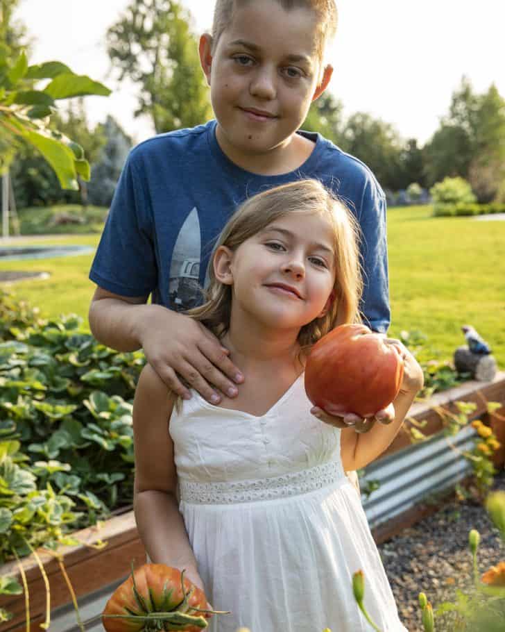 Children in the garden holding tomatoes