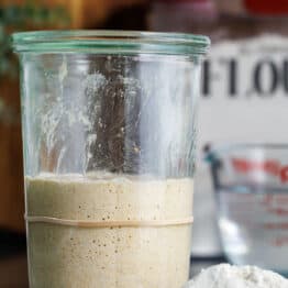 how to feed sourdough starter using flour and water