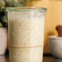 sourdough starter rising in a weck jar