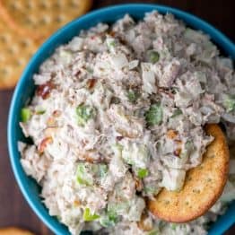 Apple Tuna salad in bowl with crackers